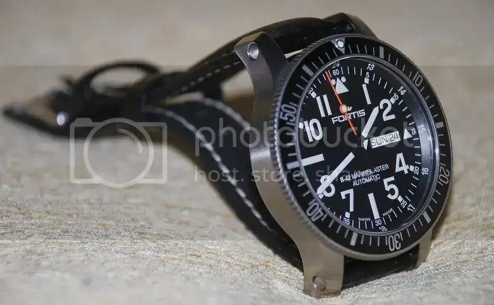 fortis2.webp