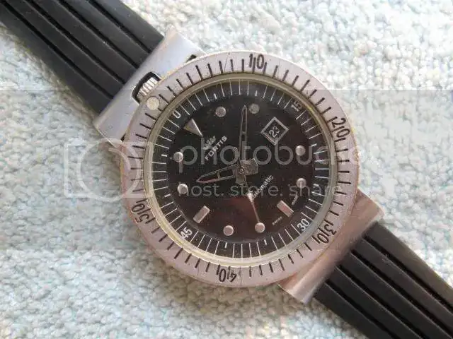 fortis201156586_o.webp