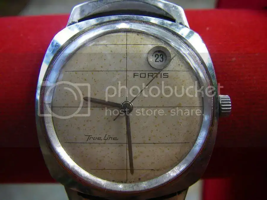 fortis2482.webp