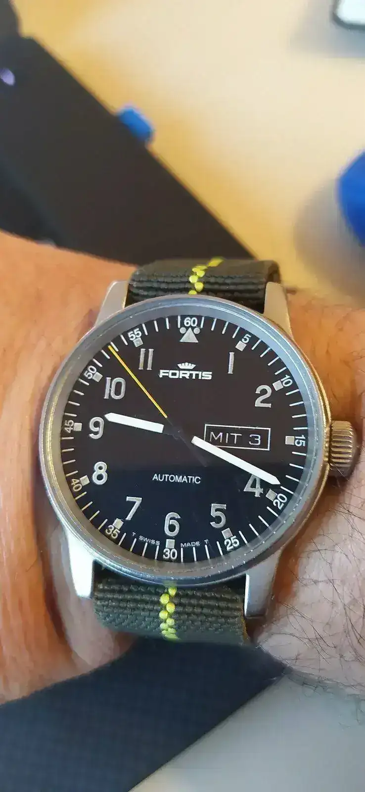 Fortis3.webp