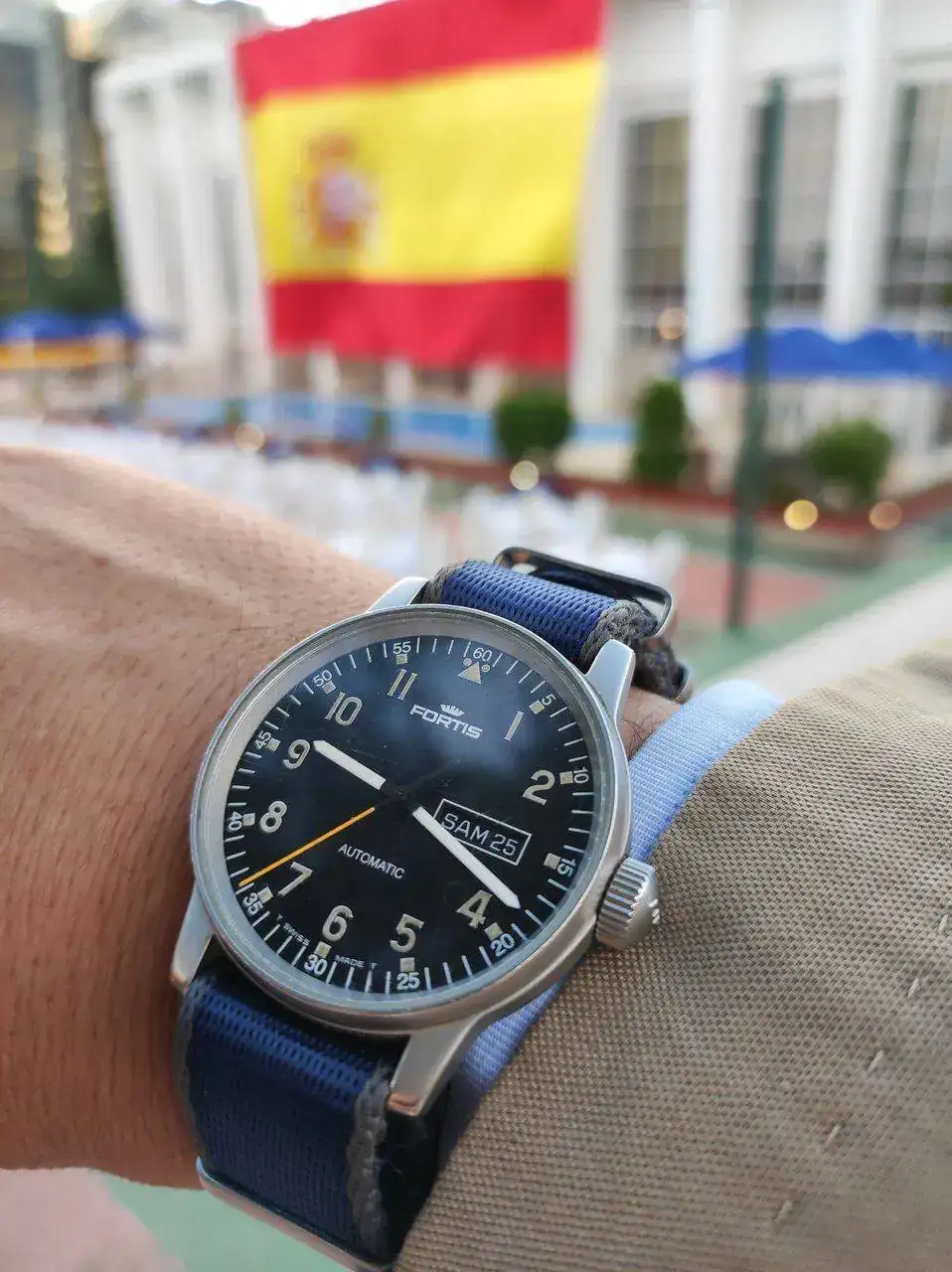 Fortis4.jpg