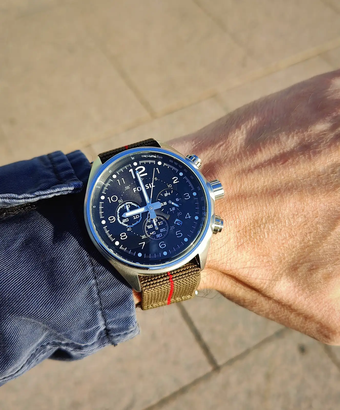 Fossil.webp