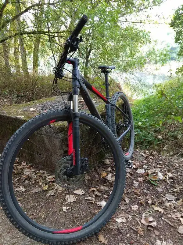 Foto 8-10-17 11 42 25.webp