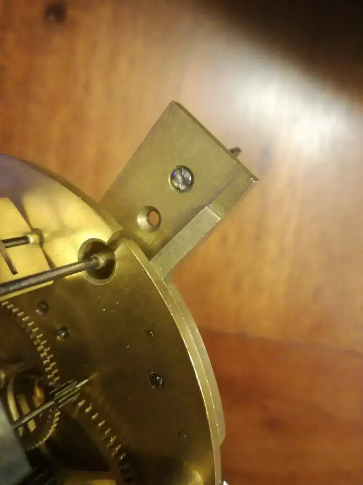 Foto de Javi.webp