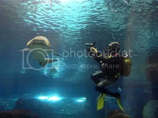 Foto12-06-13111112.webp