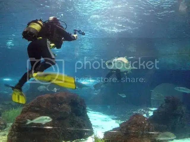 Foto12-06-13111549.webp