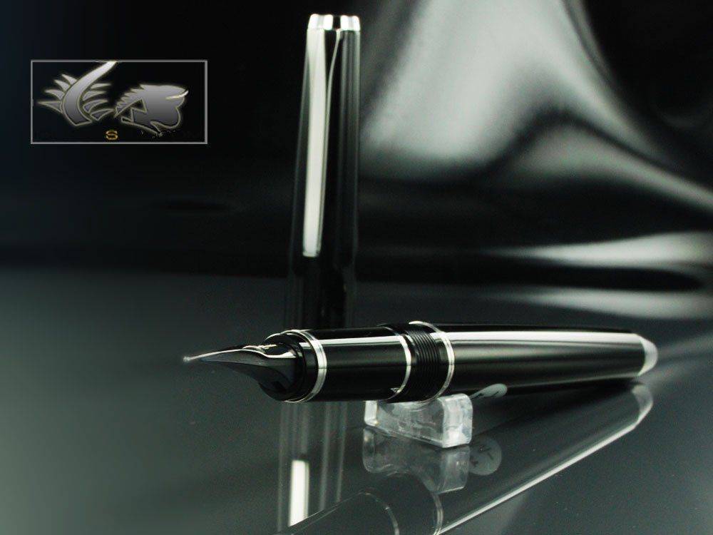Fountain-Pen-with-Flexible-Nib-Black-60670-60670-1.jpg