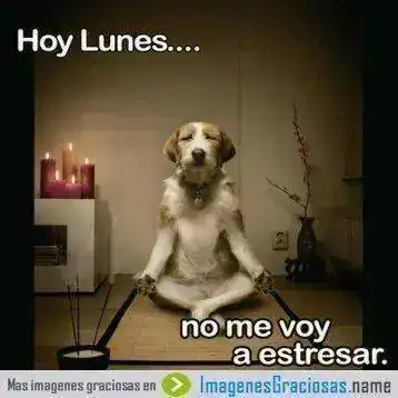 frases-de-inicio-de-semana.webp
