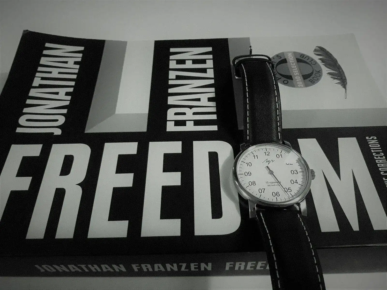 FREEDOM-FRANZEN.webp