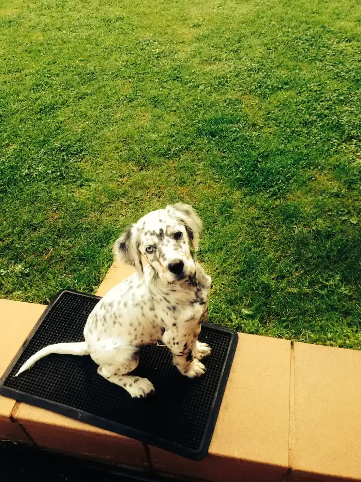 FullSizeRender 3.webp