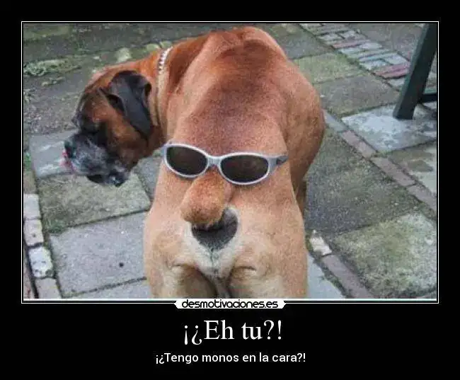 funnybueno.webp