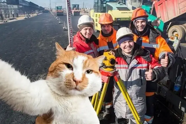 g7nsjp6v8fv61.webp