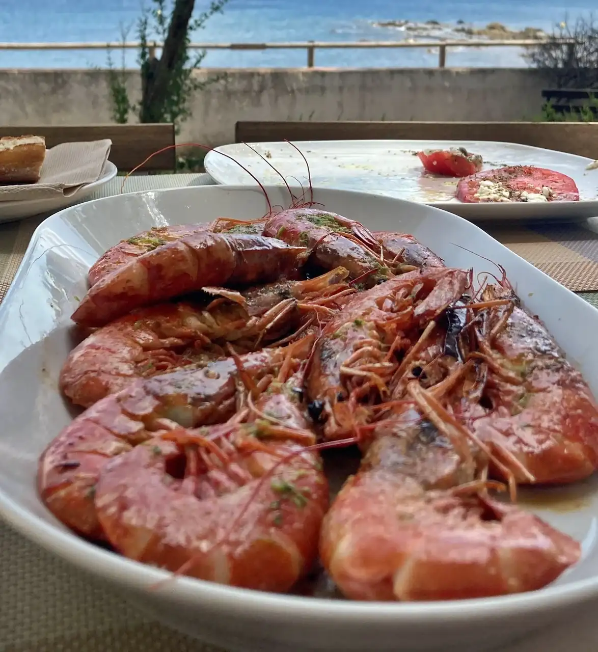 Gambes.webp