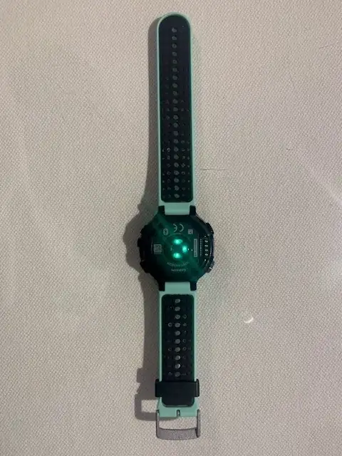 Garmin 2.webp