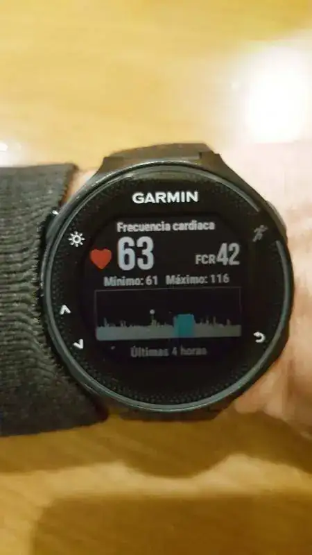 Garmin 235.webp