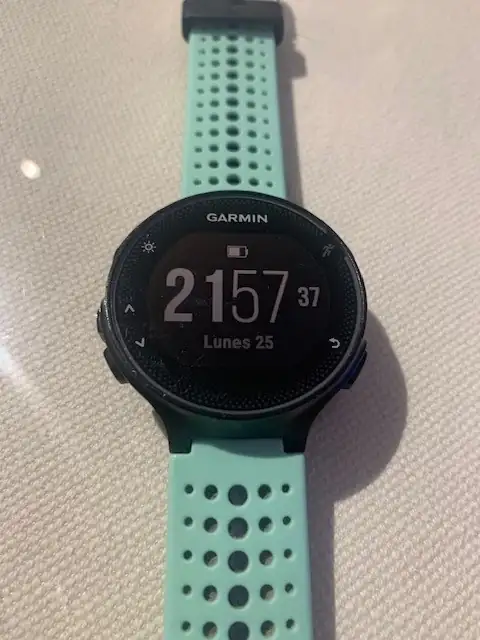 Garmin 3.webp