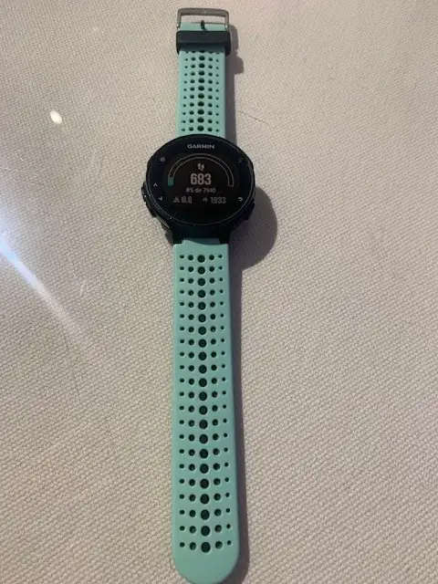 Garmin 4.webp