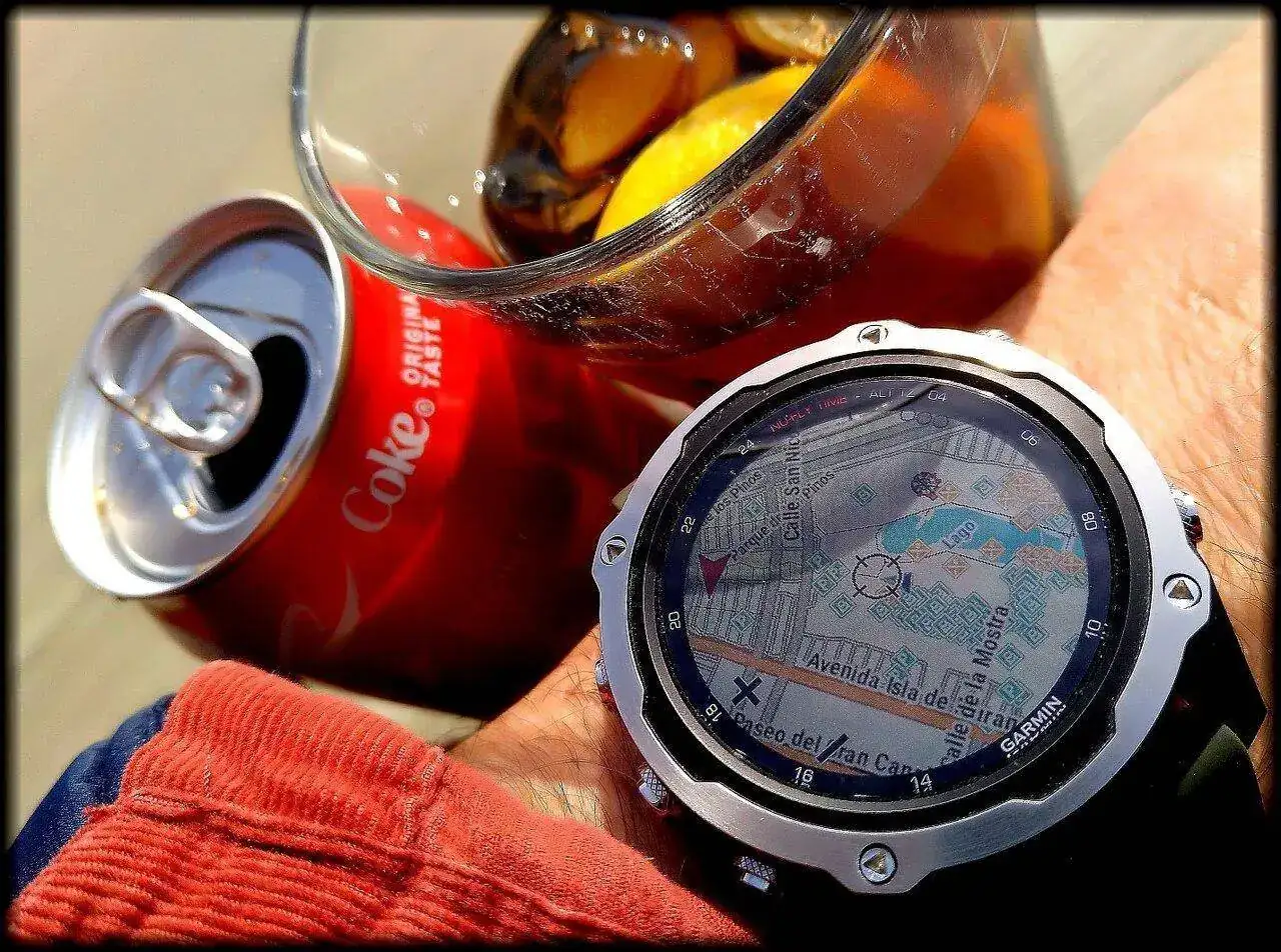 Garmin 40.webp
