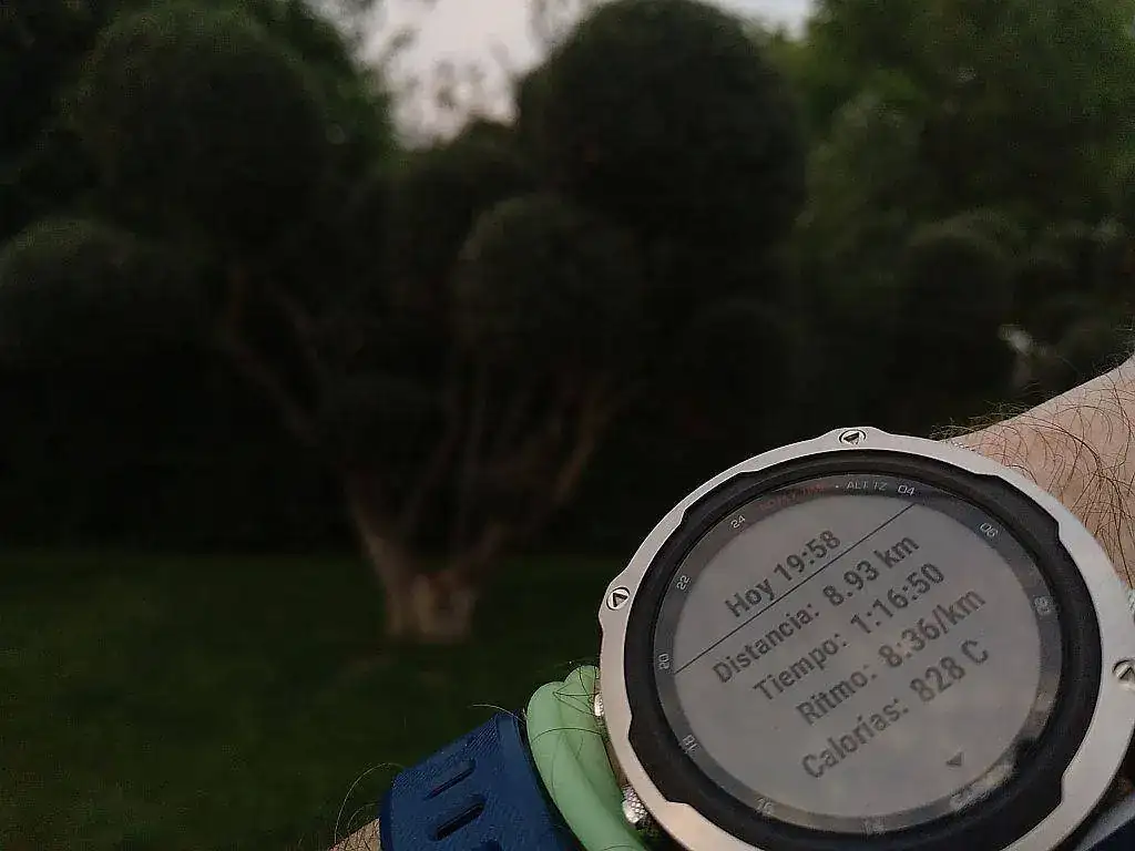 Garmin 50.jpg