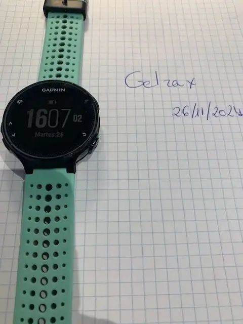 Garmin 7.webp