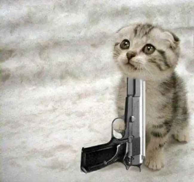 Gatito+suicida.webp