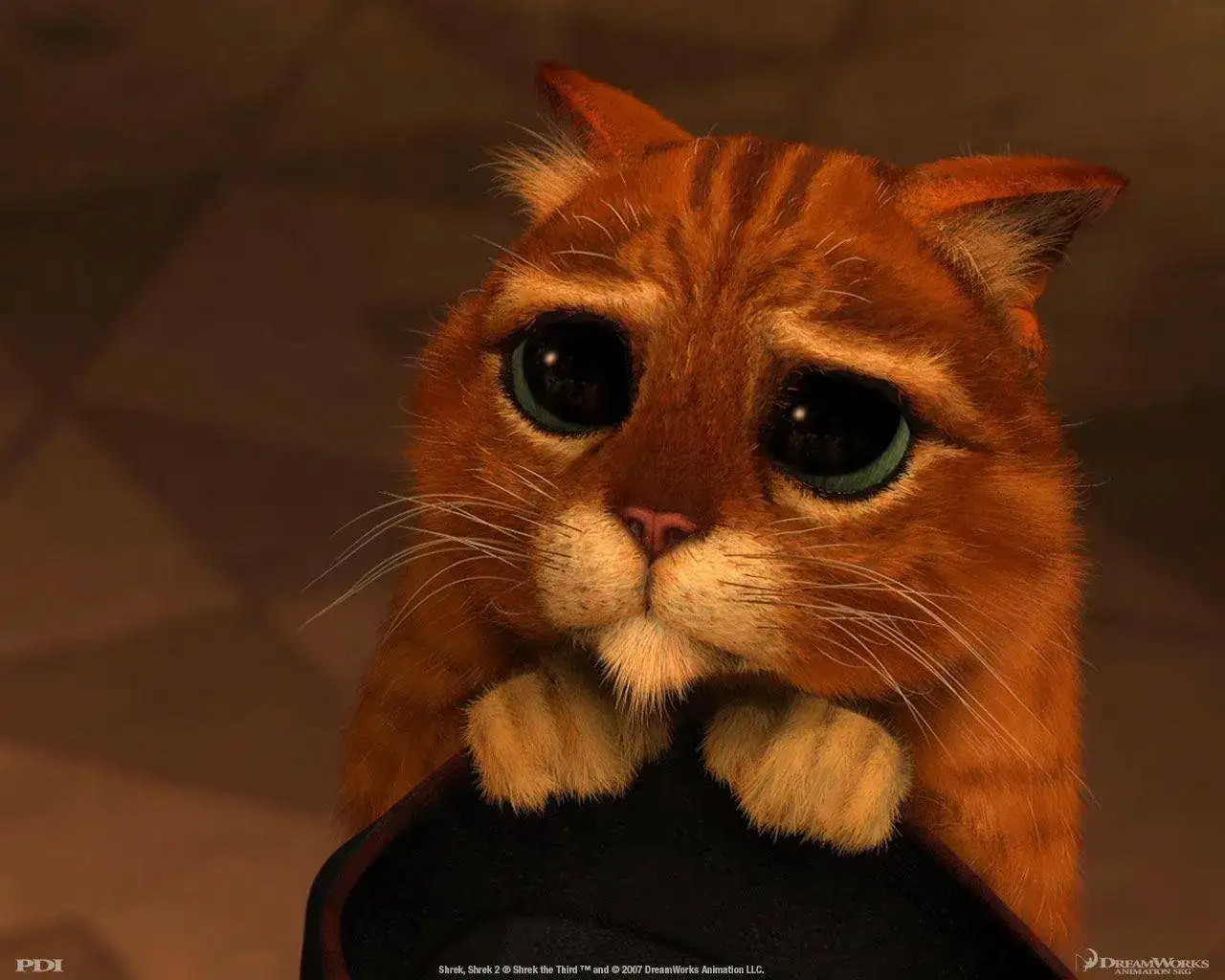 gato.webp