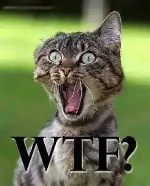 gato-wtf.webp