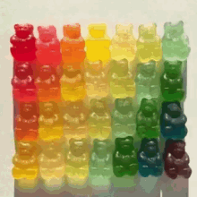 gay-pride-bears.gif