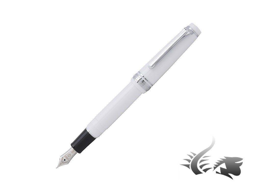 Gear-Slim-Silver-Fountain-Pen-White-Rhodium-trim-1.jpg