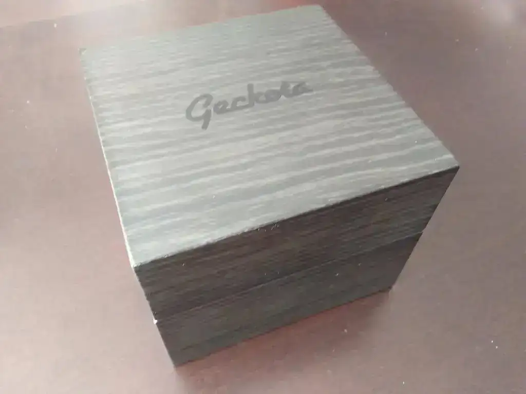 Geckota E-01_00 (22).webp