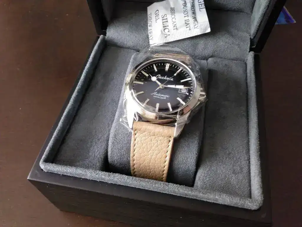 Geckota E-01_00 (24).webp