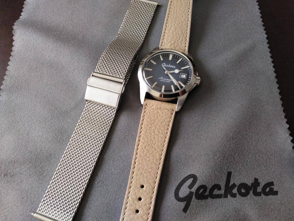 Geckota E-01_00 (48).jpg