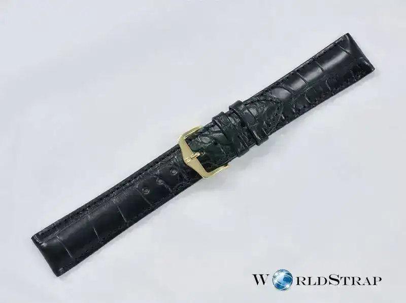 Genuinealligator5-1_zpsa7be9484.webp