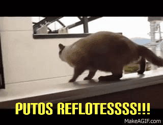 GIF-210129_163620.gif