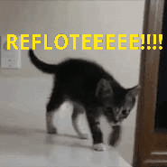 GIF-210129_164349.gif