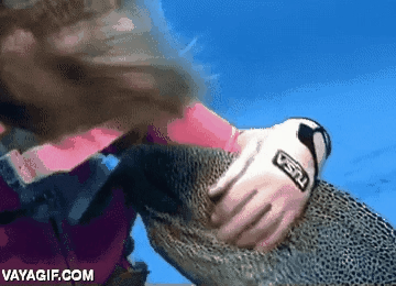 GIF-240831_230210.gif