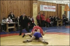 gif-animado.gracioso-arbitro-grecorromana.gif
