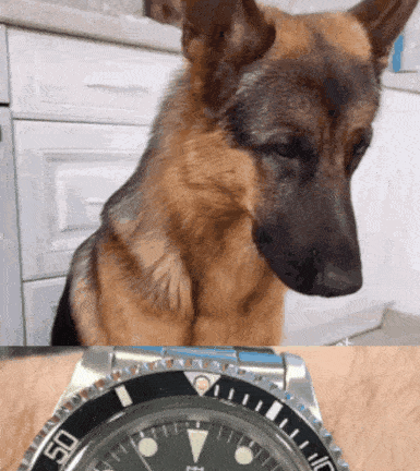 GIF_20240507_205618_232.gif