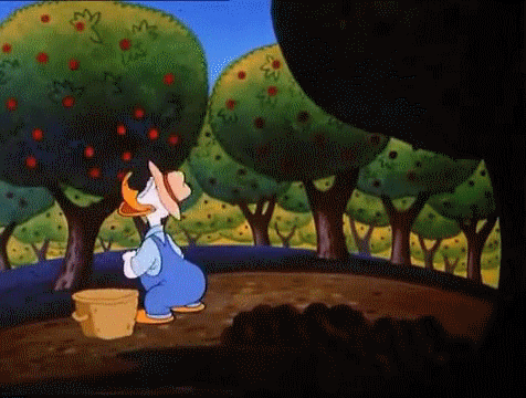giphy (1).gif