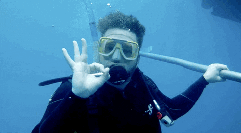 giphy-2.gif