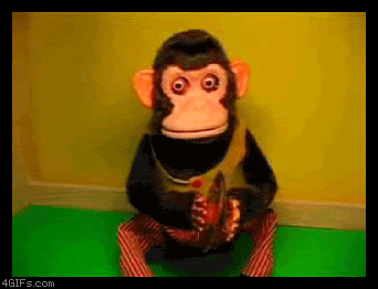 giphy.gif