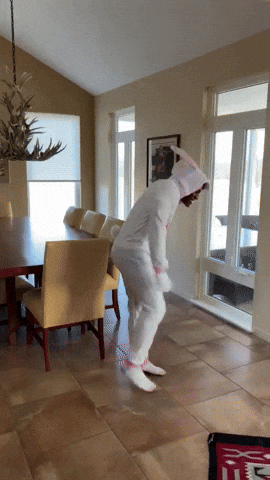 giphy.gif