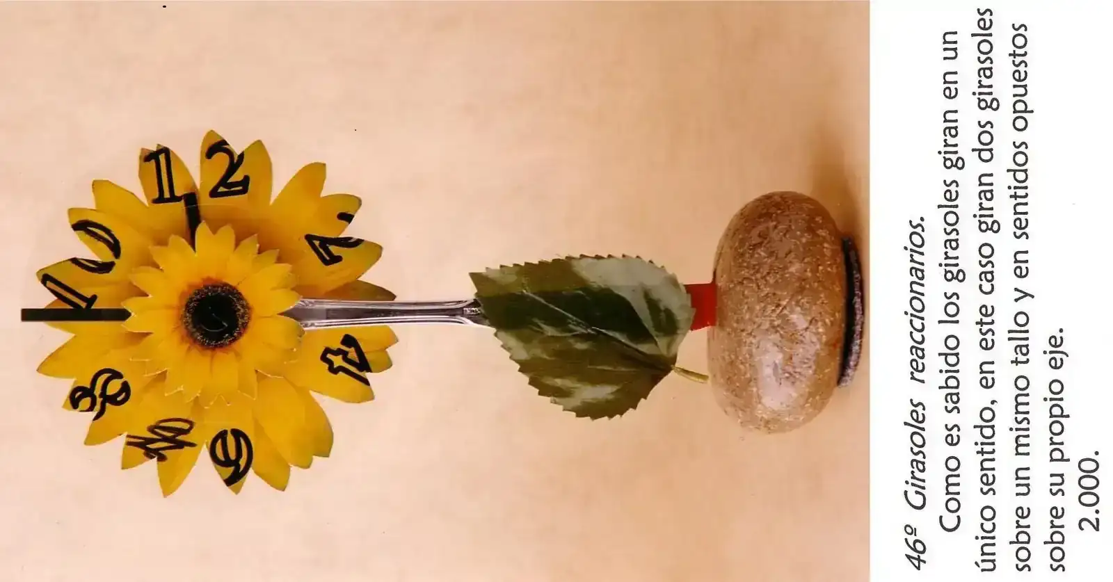 girasoles_46 90º.webp