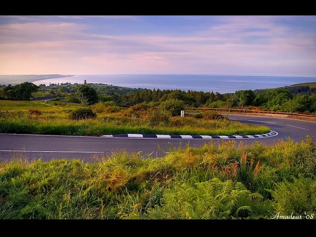 gooseneck.webp