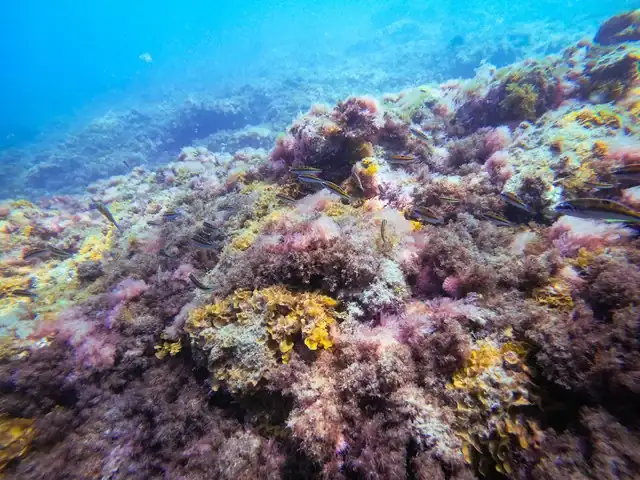 GOPR2233.webp