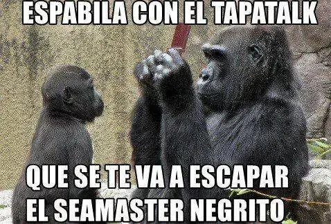 gorila.webp