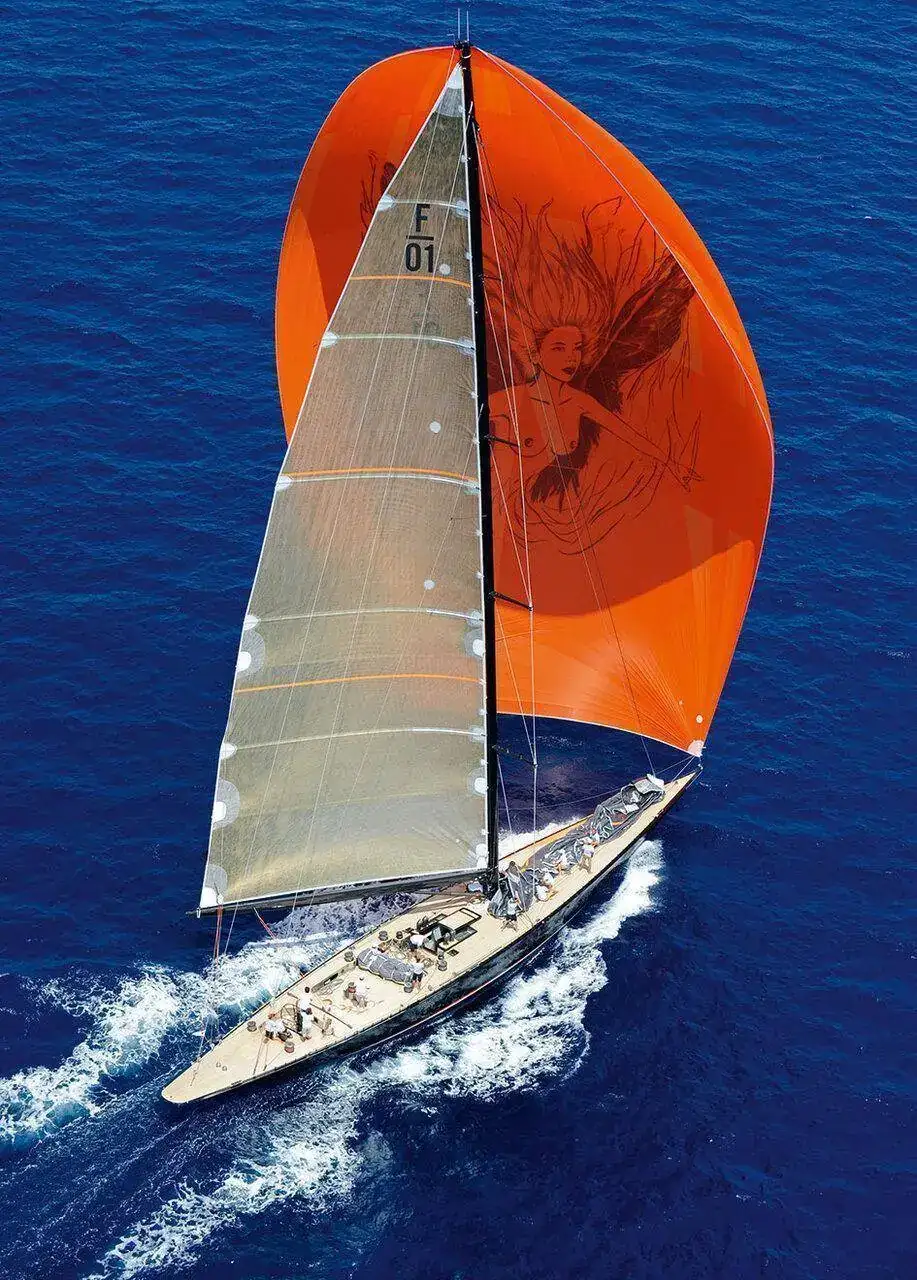 GosO5GboTl2vdkeuNxHM_firefly-spinnaker.jpg