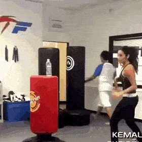 GracefulMeaslyCurlew-max-1mb.gif