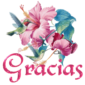 gracias-4.gif