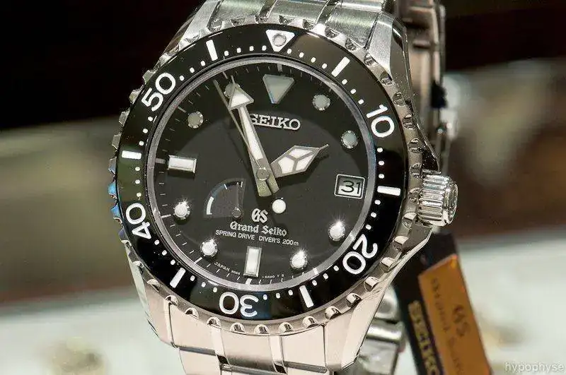 Grand-Seiko-SBGA029_2010-10-08_16-43-57_800.webp